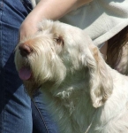Filename=K-Trevy-2.JPG
Filesize=68KiB
Dimensions=600x619
Date added=Sep 16, 2009 K-Trevy-2.JPG