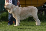 Filename=N-DixieChick.jpg
Filesize=86KiB
Dimensions=750x509
Date added=Sep 16, 2009 N-DixieChick.jpg