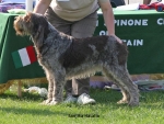 Filename=S-Natalia.jpg
Filesize=88KiB
Dimensions=750x568
Date added=Sep 16, 2009 S-Natalia.jpg