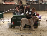 Filename=H-DonTLookEthel.jpg
Filesize=108KiB
Dimensions=700x537
Date added=Sep 16, 2009 H-DonTLookEthel.jpg