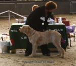 Filename=M-QueenOfSheba.jpg
Filesize=74KiB
Dimensions=580x508
Date added=Sep 16, 2009 M-QueenOfSheba.jpg