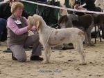 Filename=S-Delius.jpg
Filesize=97KiB
Dimensions=700x529
Date added=Sep 16, 2009 S-Delius.jpg