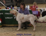 Filename=A-Andreo.jpg
Filesize=66KiB
Dimensions=700x550
Date added=Sep 16, 2009 A-Andreo.jpg