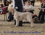 Filename=A-Mandriano.jpg
Filesize=85KiB
Dimensions=700x550
Date added=Sep 16, 2009 A-Mandriano.jpg