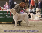 Filename=B-Baldassare.jpg
Filesize=85KiB
Dimensions=700x550
Date added=Sep 16, 2009 B-Baldassare.jpg