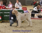 Filename=B-Daydream.jpg
Filesize=80KiB
Dimensions=700x550
Date added=Sep 16, 2009 B-Daydream.jpg