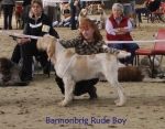 Filename=B-RudeBoy.jpg
Filesize=81KiB
Dimensions=700x550
Date added=Sep 16, 2009 B-RudeBoy.jpg