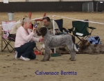Filename=C-Beretta.jpg
Filesize=71KiB
Dimensions=700x550
Date added=Sep 16, 2009 C-Beretta.jpg