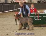 Filename=C-Comus.jpg
Filesize=80KiB
Dimensions=700x550
Date added=Sep 16, 2009 C-Comus.jpg