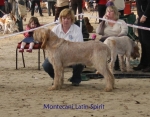 Filename=M-LatinSpirit.jpg
Filesize=78KiB
Dimensions=700x550
Date added=Sep 16, 2009 M-LatinSpirit.jpg