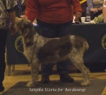 S-Izzeta.jpg