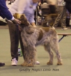Filename=G-MagicsLittleMan.jpg
Filesize=59KiB
Dimensions=600x645
Date added=Sep 16, 2009 G-MagicsLittleMan.jpg