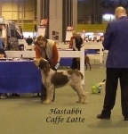 Filename=H-CaffeLatte.jpg
Filesize=45KiB
Dimensions=459x477
Date added=Sep 16, 2009 H-CaffeLatte.jpg