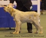 Filename=H-CrazyDiamond.jpg
Filesize=49KiB
Dimensions=600x497
Date added=Sep 16, 2009 H-CrazyDiamond.jpg
