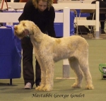 Filename=H-GeorgeGoulet.jpg
Filesize=52KiB
Dimensions=600x575
Date added=Sep 16, 2009 H-GeorgeGoulet.jpg