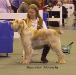 Filename=H-Moreschi.jpg
Filesize=60KiB
Dimensions=600x592
Date added=Sep 16, 2009 H-Moreschi.jpg