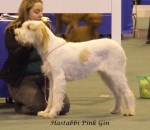Filename=H-PinkGin.jpg
Filesize=45KiB
Dimensions=600x522
Date added=Sep 16, 2009 H-PinkGin.jpg