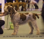 Filename=I-Meda.jpg
Filesize=50KiB
Dimensions=600x527
Date added=Sep 16, 2009 I-Meda.jpg