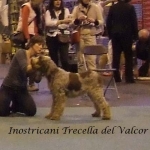 Filename=I-Trecella.jpg
Filesize=40KiB
Dimensions=420x420
Date added=Sep 16, 2009 I-Trecella.jpg