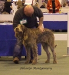 Filename=J-Montgomery.jpg
Filesize=60KiB
Dimensions=600x651
Date added=Sep 16, 2009 J-Montgomery.jpg