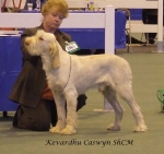 Filename=K-Caswyn.jpg
Filesize=50KiB
Dimensions=600x565
Date added=Sep 16, 2009 K-Caswyn.jpg