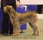 Filename=T-JigsawPuzzle.jpg
Filesize=52KiB
Dimensions=600x571
Date added=Sep 16, 2009 T-JigsawPuzzle.jpg