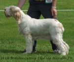 Filename=B-CuttingEdge.jpg
Filesize=69KiB
Dimensions=600x506
Date added=Sep 16, 2009 B-CuttingEdge.jpg