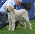 Filename=C-Carlo.jpg
Filesize=64KiB
Dimensions=600x583
Date added=Sep 16, 2009 C-Carlo.jpg