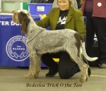 Filename=B-TrickOTheTail.jpg
Filesize=259KiB
Dimensions=600x519
Date added=Sep 16, 2009 B-TrickOTheTail.jpg