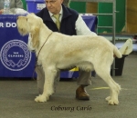 Filename=C-Carlo.jpg
Filesize=250KiB
Dimensions=600x522
Date added=Sep 16, 2009 C-Carlo.jpg
