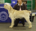 Filename=C-Corinna.jpg
Filesize=245KiB
Dimensions=600x522
Date added=Sep 16, 2009 C-Corinna.jpg
