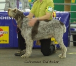 Filename=C-TedBaker.jpg
Filesize=251KiB
Dimensions=600x517
Date added=Sep 16, 2009 C-TedBaker.jpg