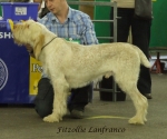 Filename=F-Lanfranco.jpg
Filesize=229KiB
Dimensions=600x501
Date added=Sep 16, 2009 F-Lanfranco.jpg