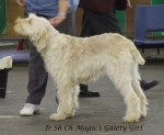 Filename=G-MagicGaietyGirl.jpg
Filesize=229KiB
Dimensions=600x493
Date added=Sep 16, 2009 G-MagicGaietyGirl.jpg