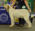 Filename=G-MagicWizard.jpg
Filesize=254KiB
Dimensions=600x536
Date added=Sep 16, 2009 G-MagicWizard.jpg