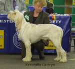 Filename=K-Caswyn.jpg
Filesize=259KiB
Dimensions=600x559
Date added=Sep 16, 2009 K-Caswyn.jpg