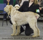 Filename=O-BreathOfHope.jpg
Filesize=266KiB
Dimensions=600x556
Date added=Sep 16, 2009 O-BreathOfHope.jpg