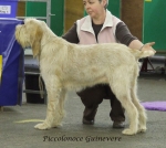 Filename=P-Guinevere.jpg
Filesize=248KiB
Dimensions=600x538
Date added=Sep 16, 2009 P-Guinevere.jpg