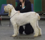 Filename=R-Carisma.jpg
Filesize=235KiB
Dimensions=600x536
Date added=Sep 16, 2009 R-Carisma.jpg