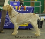 Filename=R-LiveTheDream.jpg
Filesize=259KiB
Dimensions=600x526
Date added=Sep 16, 2009 R-LiveTheDream.jpg