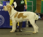 Filename=R-Luciano.jpg
Filesize=237KiB
Dimensions=600x517
Date added=Sep 16, 2009 R-Luciano.jpg