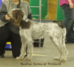 Filename=R-Roma.jpg
Filesize=242KiB
Dimensions=600x550
Date added=Sep 16, 2009 R-Roma.jpg