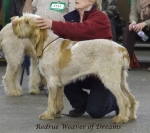 Filename=R-WeaverOfDreams.jpg
Filesize=250KiB
Dimensions=600x534
Date added=Sep 16, 2009 R-WeaverOfDreams.jpg