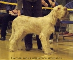 Filename=H-DidierHerbert.jpg
Filesize=104KiB
Dimensions=700x578
Date added=Sep 16, 2009 H-DidierHerbert.jpg