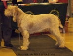 Filename=H-DonTLookEthel.jpg
Filesize=84KiB
Dimensions=700x545
Date added=Sep 16, 2009 H-DonTLookEthel.jpg