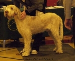 Filename=H-GeorgeGoulet.jpg
Filesize=85KiB
Dimensions=673x545
Date added=Sep 16, 2009 H-GeorgeGoulet.jpg