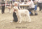 Filename=A-Alana.jpg
Filesize=82KiB
Dimensions=650x450
Date added=Sep 16, 2009 A-Alana.jpg