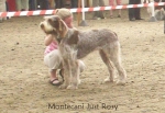 Filename=M-JustRosy.jpg
Filesize=81KiB
Dimensions=650x450
Date added=Sep 16, 2009 M-JustRosy.jpg