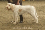 Filename=M-WahWah.jpg
Filesize=73KiB
Dimensions=650x450
Date added=Sep 16, 2009 M-WahWah.jpg