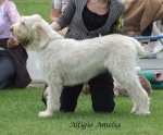 Filename=A-Amelia.jpg
Filesize=59KiB
Dimensions=600x496
Date added=Sep 16, 2009 A-Amelia.jpg
